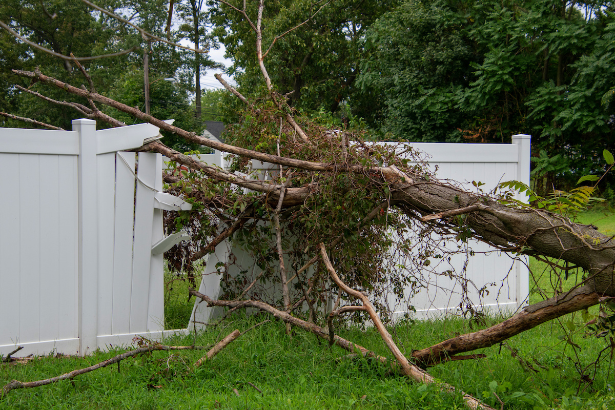 Close up of a large limb that fell off a tree destroying part of a white metal fence leaving a hole