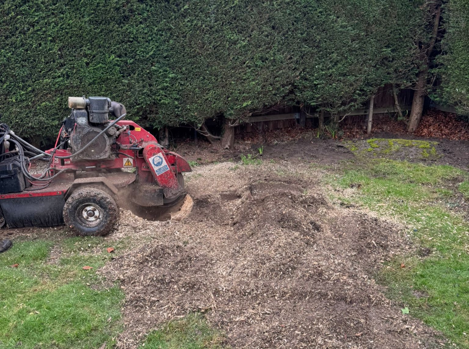 stump grinding